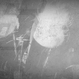 Ciak si gira: al via le prime riprese di Al Mugello non si dorme